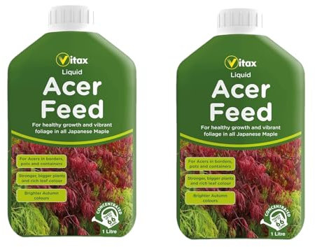 2 x Acer Tree Feed Concentrate 1 Litre | For Healthy Growth And Vibrant Foliage | Contains A Balanced Mix Of Essential Nutrients