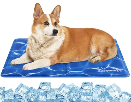 pecute Kühlmatte Hunde Katzen, Kuhlmatte für Hund und Katze mit Ungiftiges Gel,Selbstkühlende Kissen, Kühl Hundedecke, Kaltgelpad für Katzen und Hunde (65 * 50cm)
