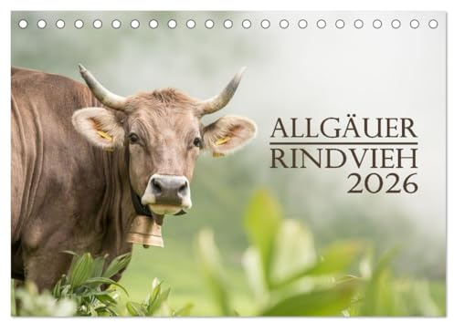 Allgäuer Rindvieh 2026 (Tischkalender 2026 DIN A5 quer), CALVENDO Monatskalender: Ein Kalender für alle Allgäu- und Kuhliebhaber. (CALVENDO Tiere)