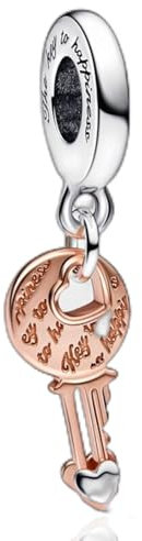 Amieween 925 Sterling Silber Charm für Damen Armbänder Halskette Rose Gold Schlüssel Herz Anhänger Charm 5A Zirkonia Charms für Damen