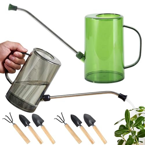 2 annaffiatoio per piante d'appartamento, piccolo annaffiatoio da giardino, con beccuccio lungo, piccolo annaffiatoio per piante da interno, fiori, piante grasse