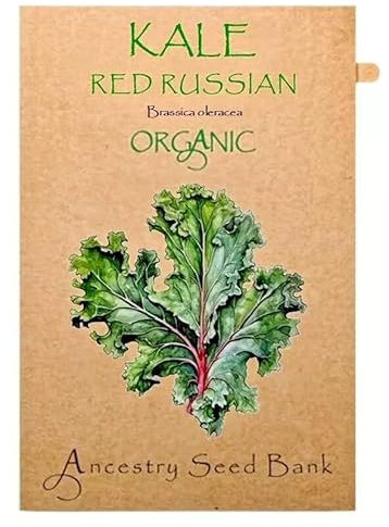 Organic Kale ❁ Red Russian ❁ 100 Seeds Heirloom - Non GMO