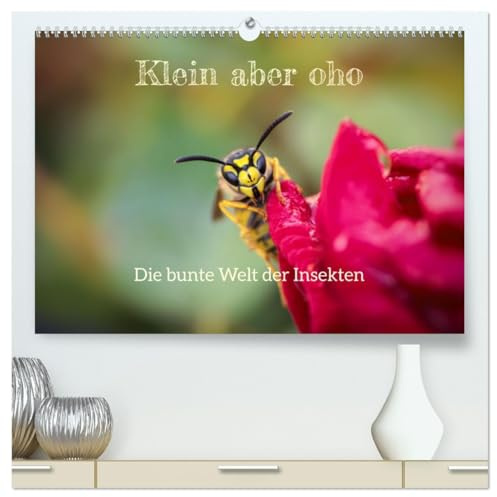 Klein aber oho. Die bunte Welt der Insekten (hochwertiger Premium Wandkalender 2026 DIN A2 quer), Kunstdruck in Hochglanz: Die farbenfrohe Welt der Insekten (CALVENDO Tiere)