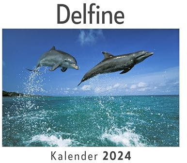 Delfine (Wandkalender 2024, Kalender DIN A4 quer, Monatskalender im Querformat mit Kalendarium, Das perfekte Geschenk)