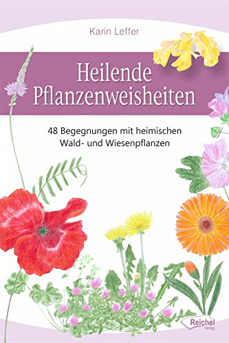 Heilende Pflanzenweisheiten: 48 Begegnungen mit heimischen Wald- und Wiesenpflanzen
