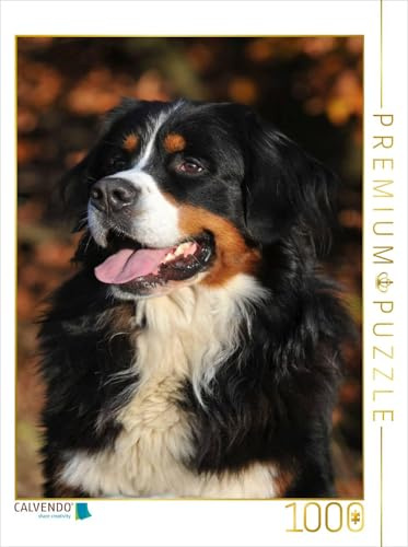 CALVENDO Puzzle EIN Motiv aus dem Kalender Berner Sennenhund 2017 | 1000 Teile Lege-Größe 48 x 64 cm Foto-Puzzle für glückliche Stunden