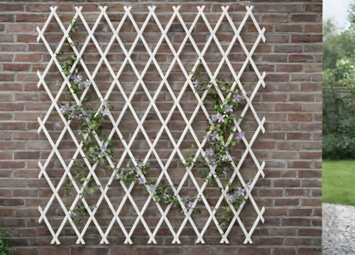 BIANCHERIAWEB Treillis extensible en PVC pour plantes grimpantes, clôture de jardin, balcon 100x300, blanc