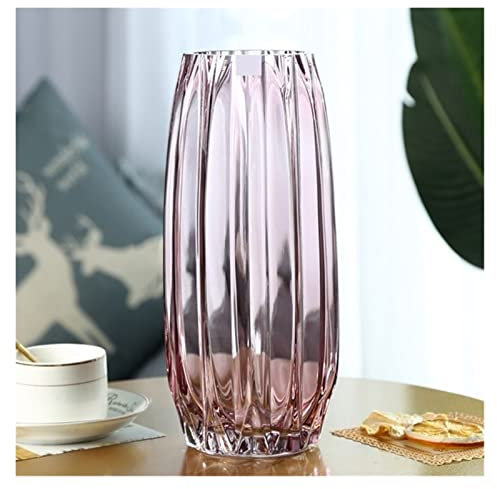 MENGLI-2024 Blumenvase Nordic Einfache Große Glas Vase Transparente Farbe Hydrokultur Reiche Bambus Lilie Rose Wohnzimmer Blume Anordnung Ornamente Neue Dekovase(Groß)