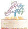 Iridescent Taylor Swift Cake Topper - Happy Birthday Decorations for Girls - Wooden, Shiny