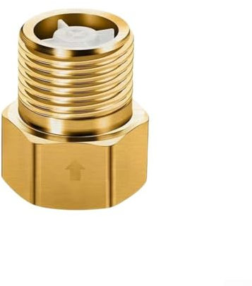 ZiStarlilife Rückschlagventil, Edelstahl, Rückschlagventil, 33 mm, für Duschen, Toiletten und Außenarmaturen, korrosionsbeständig (Messing), 10 Stück