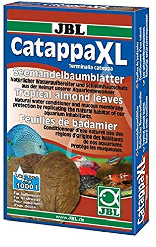JBL Catappa 25198, Seemandelbaumblätter für Süßwasser-Aquarien, 10 Stück, XL