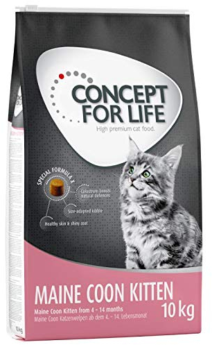 Concept for Life Maine Coon Kitten Katzenfutter trocken 10 kg für Kätzchen im Alter von 4-15 Monaten, hergestellt mit Reis mit ätherischem Taurin