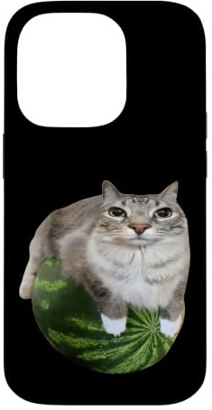 Hülle für iPhone 14 Pro Wassermelone Katze Silly Cat Meme