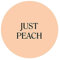 Shabby Chic Chalk Based Furniture Paint 100ml (Just Peach)