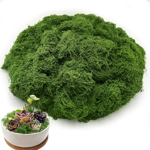 Jerhyun 200g Musgo Artificial, Musgo Natural Adecuado para Manualidades, Proyectos de Bricolaje Decoración Bonsáis (Verde Oscuro)