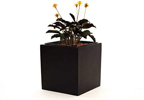 Blumenkübel Fiberglas quadratisch 30x30x30cm elegant schwarz-matt.