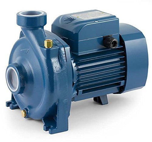 Elettropompa Centrifuga HF m5A girante Ottone 1,5Hp 220V Pompa Acqua Pedrollo