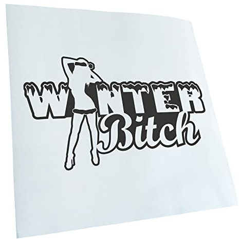 Kiwistar - Autoaufkleber - Dunkelgrau - 17,5x10cm Winter B Design 2 - Heckscheibe Auto Aufkleber wetterfest für Kfz LKW Mofa Truck - Sticker außen selbstklebend Tuning Zubehör für Fenster Fahrzeug