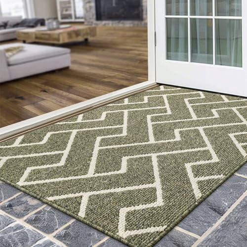 Biscpro Indoor Door Mats,80x120cm Door Mat Non Slip Backing,Dirt Trapper Mat Absorbent Non-Slip Doormat for Entrance,Inside,Kitchen,Front Back Door,Pets and Garden-Green