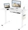 FlexiSpot E1 Plus ONE PIECE Electric Standing Desk Height Adjustable Sit Stand Desk with Memory Smart Panel(100 * 60cm, White Frame+White Desktop)