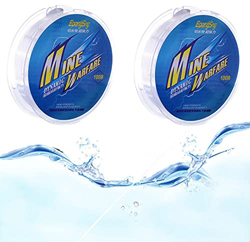 2 pezzi Avvolgi Lenza da Pesca Monofilo da Pesca Filo di Nylon Elastico per Bracciali 8,0 100 Metri Monofilamento Linea di Pesca in Nylon Resistente Filo di Nylon Trasparente (Diametro 0,45 mm)
