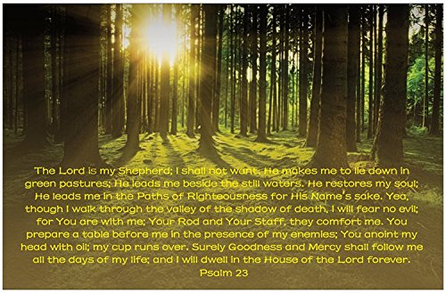Psalm 23 inspirierendes christliches Poster, E70