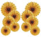 Golden 40.6CM(16in) und 30.4CM(12in) Hängende Papier Fächer Dekoration, Party Dekoration Kit 8er Set
