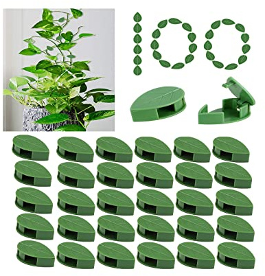 KOCNYDEY 100 Pcs Plante Escalade Mur Fixation Clips Acrylique Auto-Adhésif Fixateur Plante Vigne Invisible Titulaire Escalade Plante Vert Vignes Crochet Fixation Clip Intérieur Extérieur Décoration