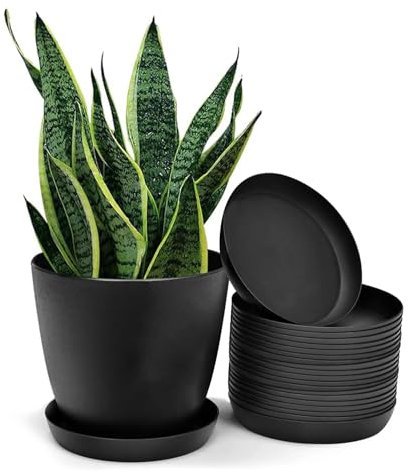 dentedeleao Blumentopf Untersetzer 20 Stück, Pflanzenuntersetzer Rund für Blumen & Pflanzen, Plastik Unterteller für Garten, Innen und Außenbereiche, 12.3 cm