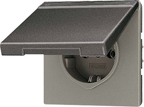 Jung Schuko Steckdose 16 A 250 V mit Klappdeckel und Schriftfeld 12 x 55 mm Serie LS alpinweiß, 1 Stück, anthrazit, AL 1520 NAKL AN