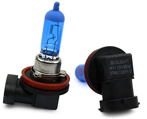 INION® 2x H11 55W Xenon Style Lampen für Nebelscheinwerfer, Halogen Birne, Xenon Look 6, Zugelassen!