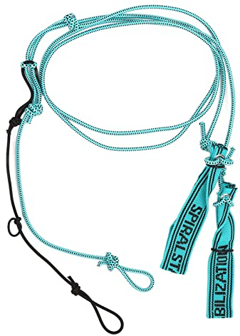 Sonew Stretch Strap, Yoga Elastic Band, Woven Yoga Rope Stretching Strap for Back Scoliosis Herniated Discs (6mm)