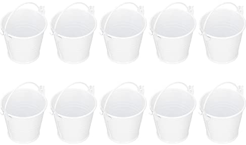 Blumentopf Blumentopf Eisen 10 Stücke Blumentopf Mini Sukkulenten Topf Kleiner Metalleimer Für Indoor Outdoor Decor (Weiss)
