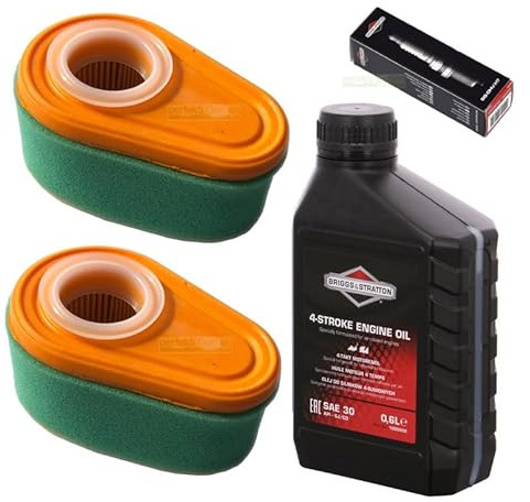 perfektGarten Bougie d'allumage + filtre + huile de tondeuse à gazon compatible avec Briggs & Stratton B&S DOV 700 725 750 775 perfektGarten Bougie d'allumage + filtre + huile de tondeuse à gazon