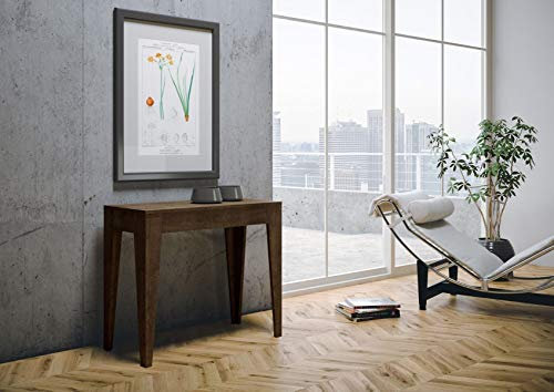 IMAGO FACTORY Isetta - Table extensible rectangulaire en bois, jusqu'à 302 cm, console d'entrée moderne, table de cuisine, fabriquée en Italie, disponible en noisette et marron