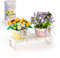 TOY PLAYER Pflanzen Blumen Friends Mini Bauspielzeug Sonnenblume,Nicht Kompatibel Mit Lego Flowers klemmbausteine Bonsai Baustein Geschenk für Mädchen 6-12 und Erwachsene Bausteinen deko