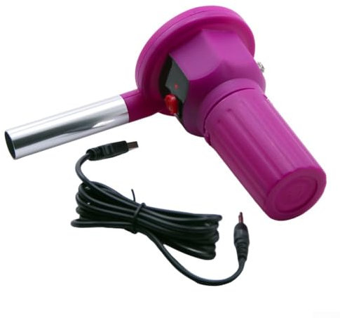 HOHOVYVY Allume-barbecue électrique - Ventilateur manuel pour barbecue au charbon de bois - Pour barbecue en plein air