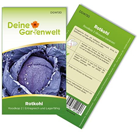 Rotkohl Roodkop 2 Samen - Brassica oleracea - Rotkohlsamen - Gemüsesamen - Saatgut für 120 Pflanzen
