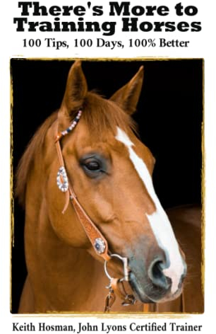 There's More to Training Horses: 100 Tips, 100 Days, 100% Better