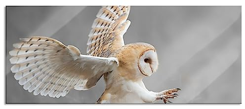 Pixxprint Glasbild Panorama, Wandbild aus Echtglas, Fliegende Weiße Eule bei der Jagd, 120x50 cm, inkl. Aufhängung und Abstandshalter