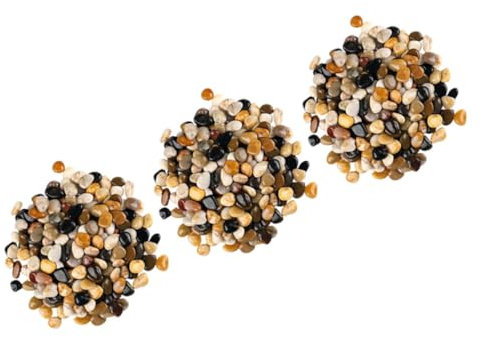 FOMIYES 3 Paquetes Piedras Mixtas Naturales Pulidas Plantas Naturales Interior De Rio Mexicana Terrario Plantas Piedras Pequeñas Rocas De Jardín Suculentas Cactus Exterior Guijarro