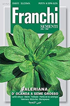 Lattuga Franchi Grani Legumi Agnello'S