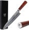 Sunlong Coltelli Gyuto Coltelli da chef da 10 pollici Coltello giapponese VG10 martellato martellato in acciaio naturale con manico in legno rosa