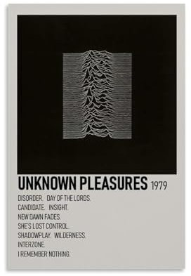 ijshndgn Joy Division Poster, Vintage-Kunst, Raumdekoration, ästhetisch für Schlafzimmer, Wohnzimmer, Wände, ästhetisches Poster, 30 x 45 cm, ungerahmter Stil