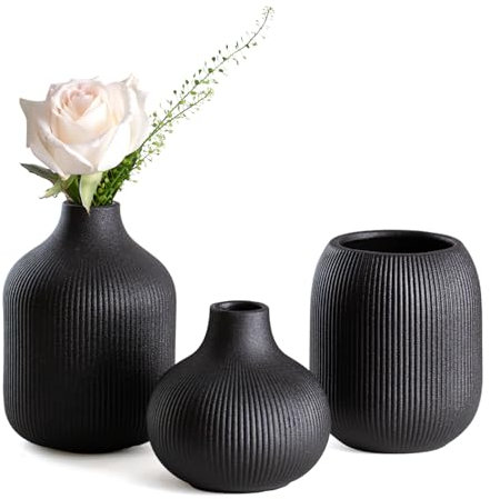 Dnnnii Kleines Keramikvasen-Set 3-TLG Schwarze - Minimalistische Vasen mit Rillendesign, kompakte Übergangsdekoration für Wohnzimmer, Schlafzimmer, Büro (3-TLG Schwarzes Keramikset)