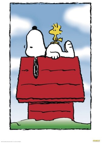 Peanuts Poster (68,5cm x 101,5cm)