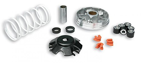 519019 VARIATORE MALOSSI MULTIVAR 2000 D.19 PIAGGIO FREE 50 2T per veicoli PRODOTTI 2001 --