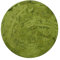 Young Barley Grass Powder - Hordeum Vulgare (450g)