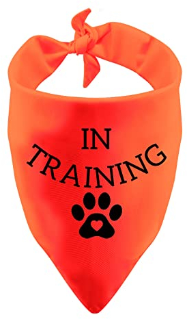 LEVLO Lustiges Hundehalstuch im Training, dreieckig, bedruckt, Haustierschal, Aufgabe, trainierte Hilfe, Hundeschal (im Training)