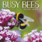 Turner Foto-Wandkalender mit beschäftigten Bienen, 30,5 x 30,5 cm (25998940110)